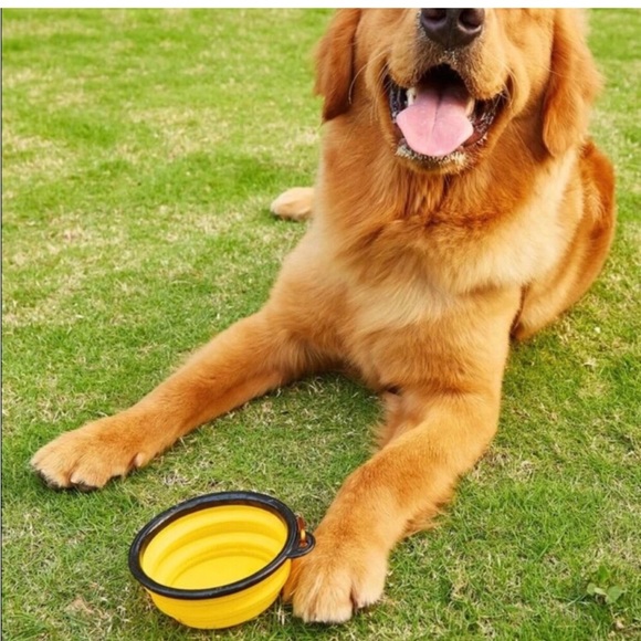 Green Treat Jar & Yellow Collapsible Food/Water Dish. NWOT - Picture 5 of 7